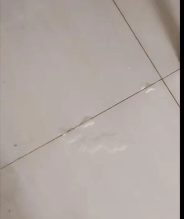 微信图片_20230314100357.png